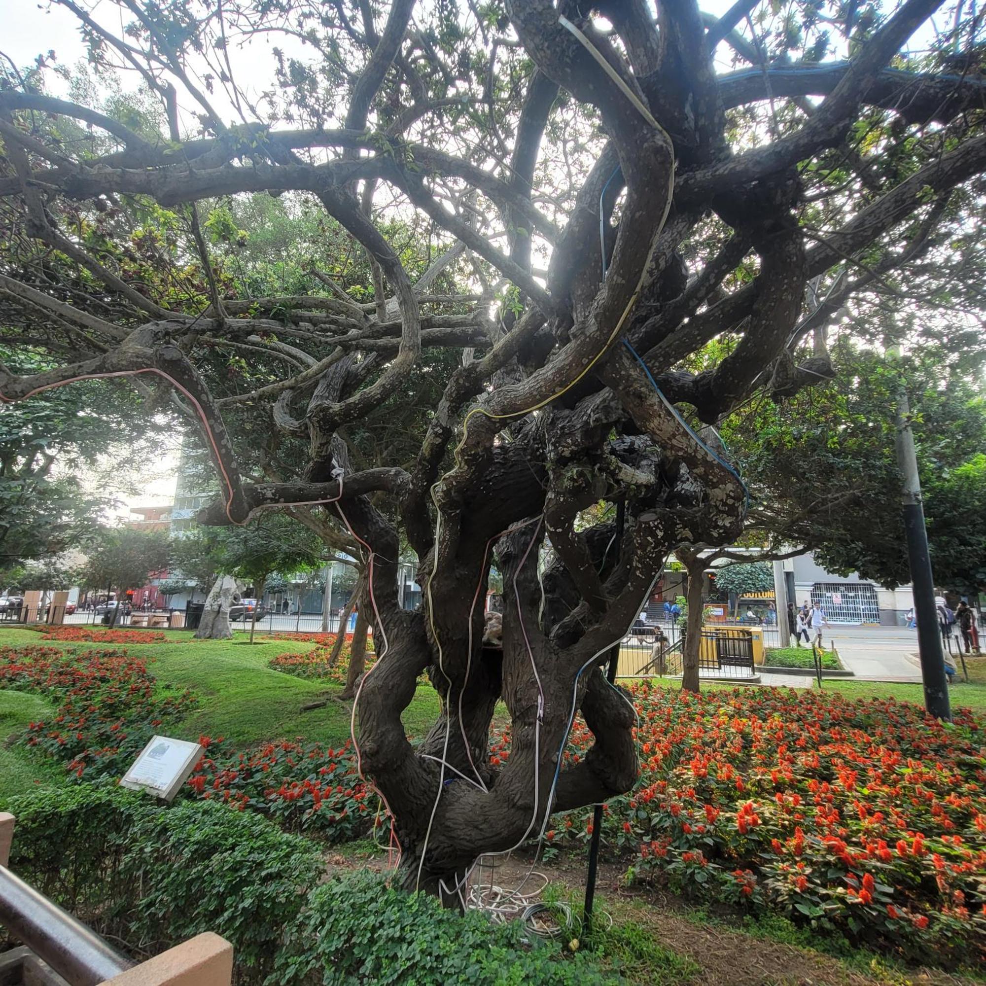 The 1 At The Booming Center Of Miraflores, - Peru Appartement *